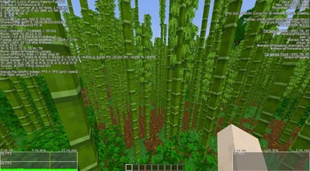[MoreCulling] Block Culling