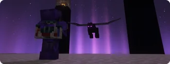 End Backpack